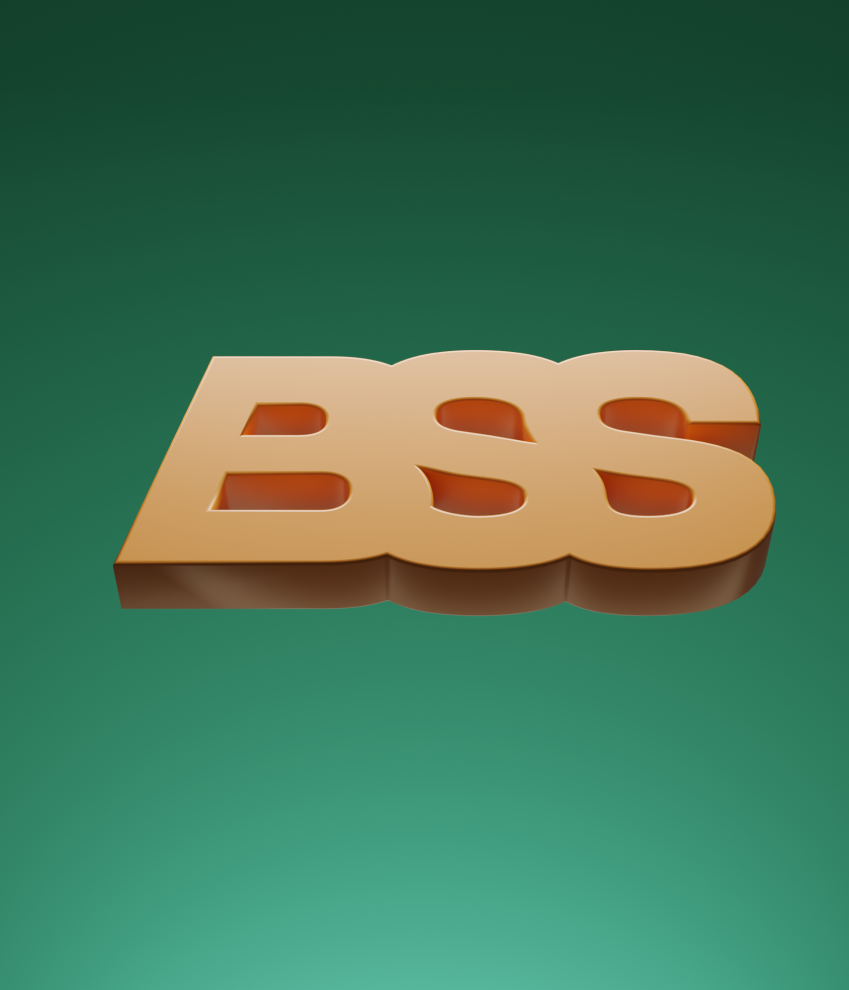 Build Smart Solutions Logo